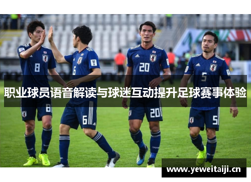 职业球员语音解读与球迷互动提升足球赛事体验