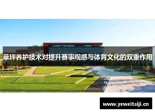 草坪养护技术对提升赛事观感与体育文化的双重作用